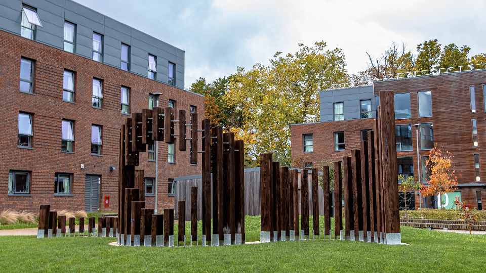 An outdoor sculpture on a grassy mound surrounded by buildings. The sculpture is made of burnt timber posts in different heights positioned in a wave formation with cut out areas.