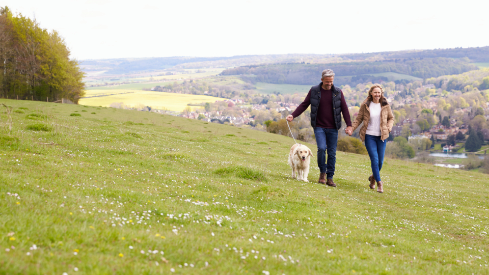 a couple walking a dog