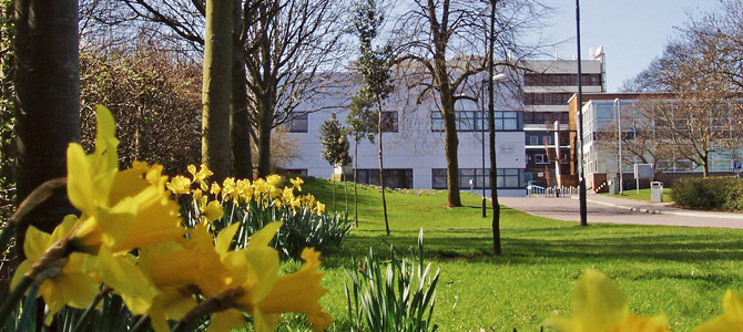 Image of campus in spring - yellow daffodils visible beneath the trees, looking towards Stuart Mason building.