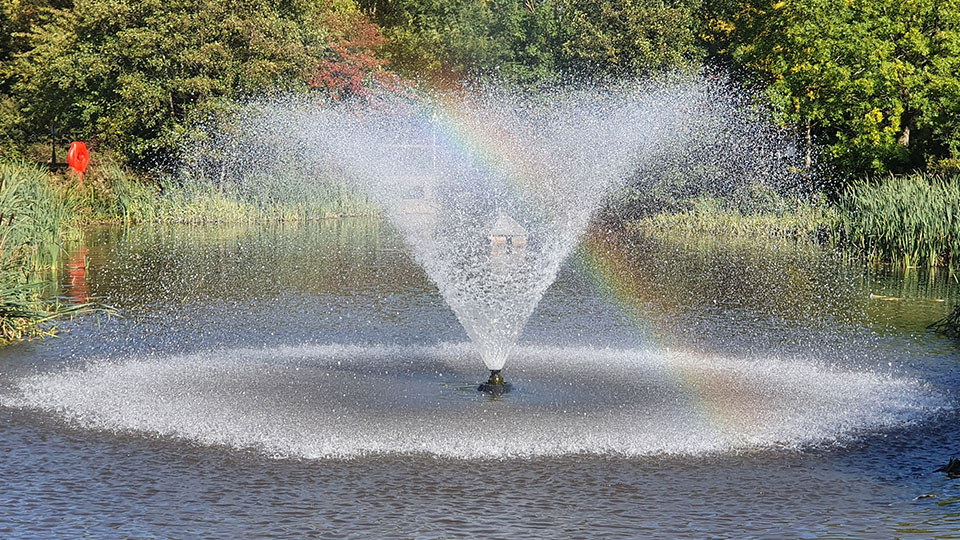Water fountain spraying in a circular pattern on a pond, creating a visible rainbow in the mist, surrounded by green trees and reeds.