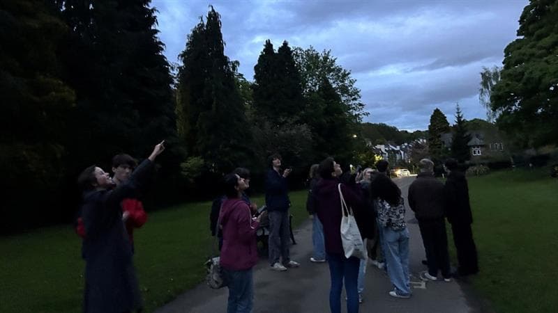 Loughborough students and staff pointing at bats in the sky at dusk