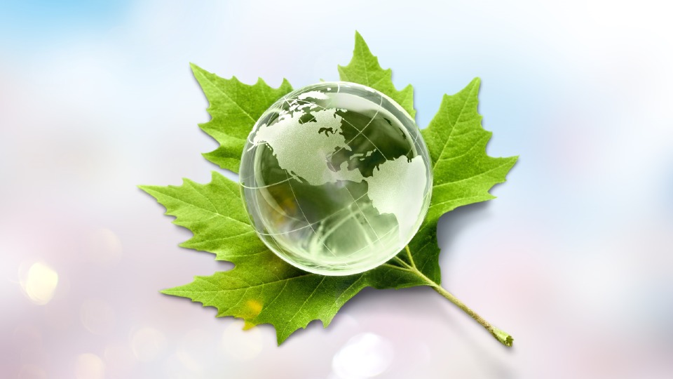 A glass globe on a green leaf