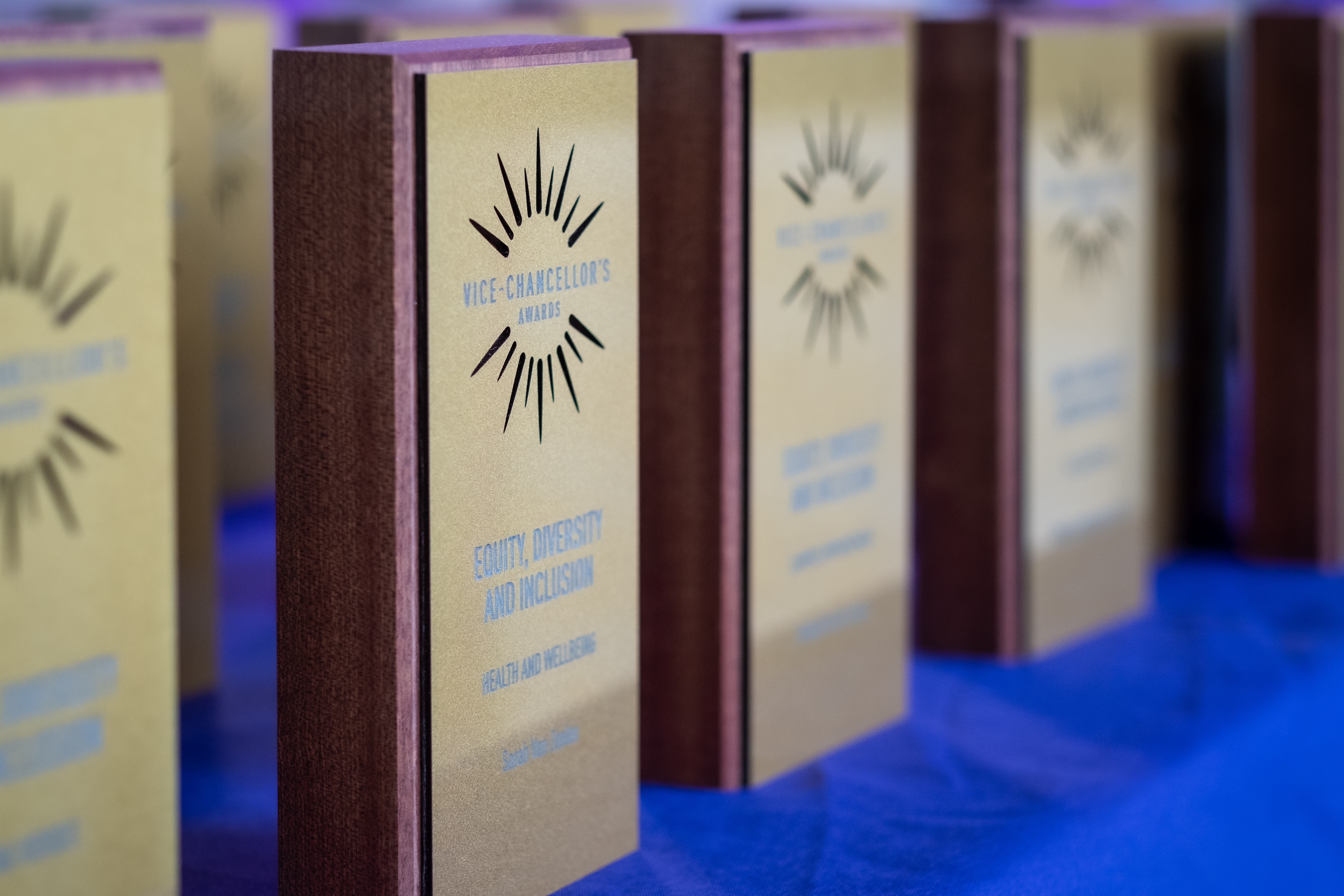 Photo of the awards - wooden blocks with gold plagues