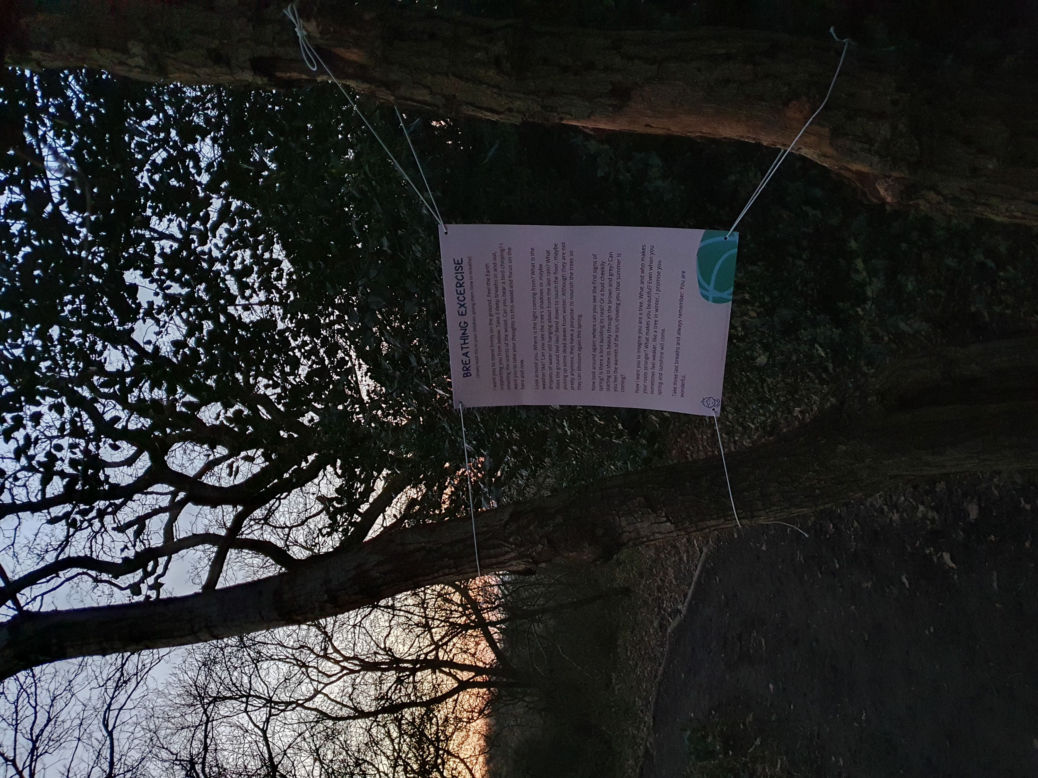Photo of a paper activity attached to a tree