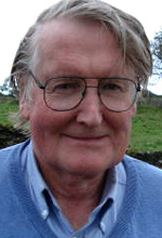 Headshot of Professor Robin Hudson