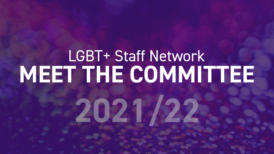 LGBT+ committee asset