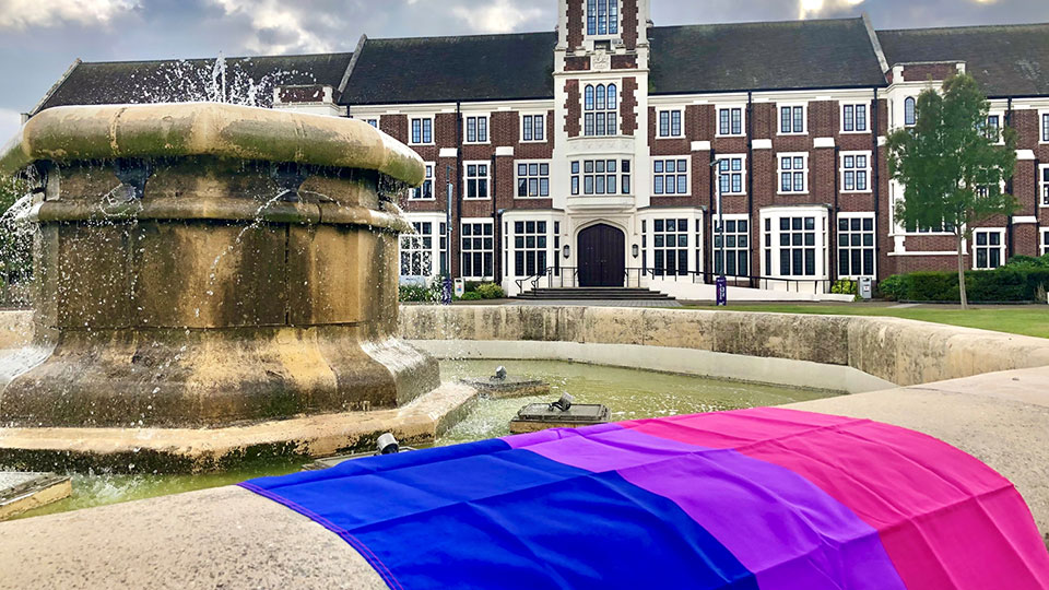 Bisexual flag on Hazlerigg fountain 