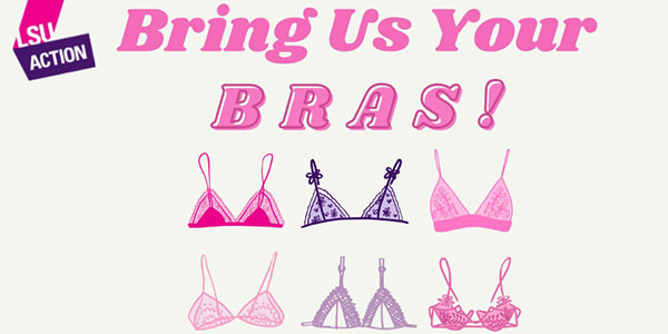 Illustrations of pink and purple bras
