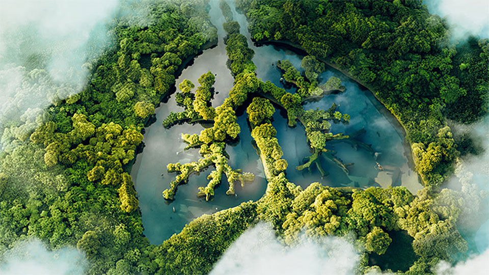 Birds eye view of a forest with a river flowing through it, with some clouds over the top