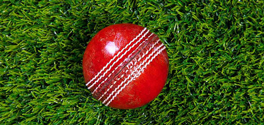 Pictured is a cricket ball. 