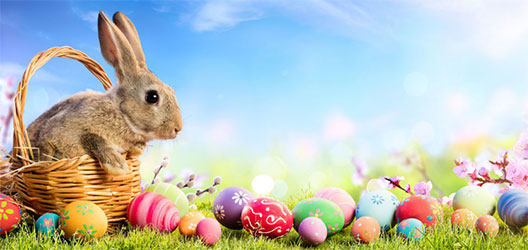 Pictured is a rabbit with Easter eggs. 