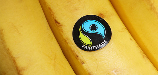 a photo of the Fairtrade logo sticker on a banana