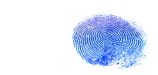Pictured is a fingerprint.