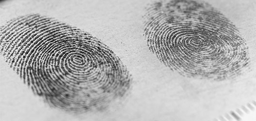 photo of fingerprints using magnetic powders