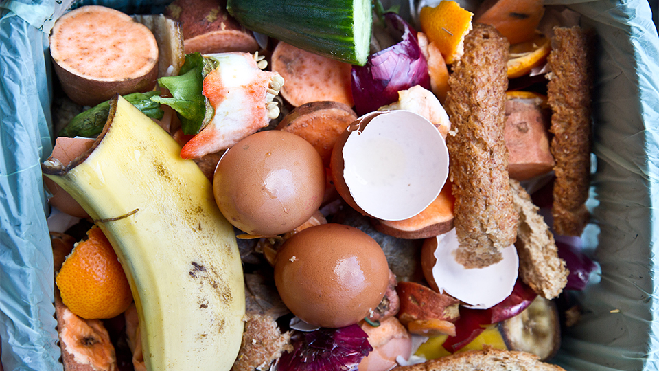 A photo of various food wasted away in a bin