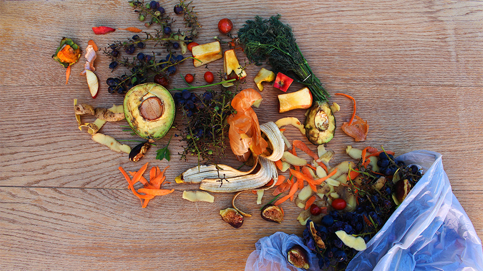 photo of fruit and veg from a bin