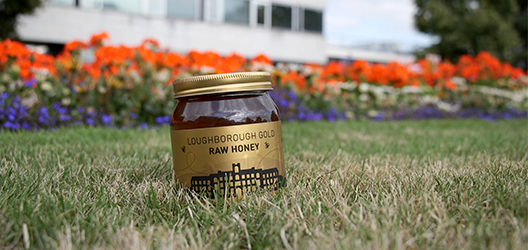 photo of the Loughborough Gold jar in the grass on campus, with flowers in the background. 