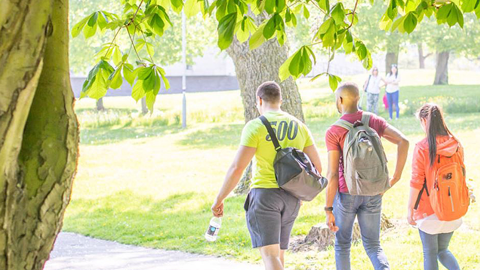 Photo of three students walking outside on campus, with their backs to the camera. 