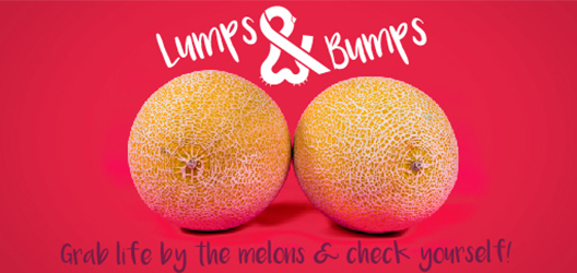 Lumps and Bumps graphics. 