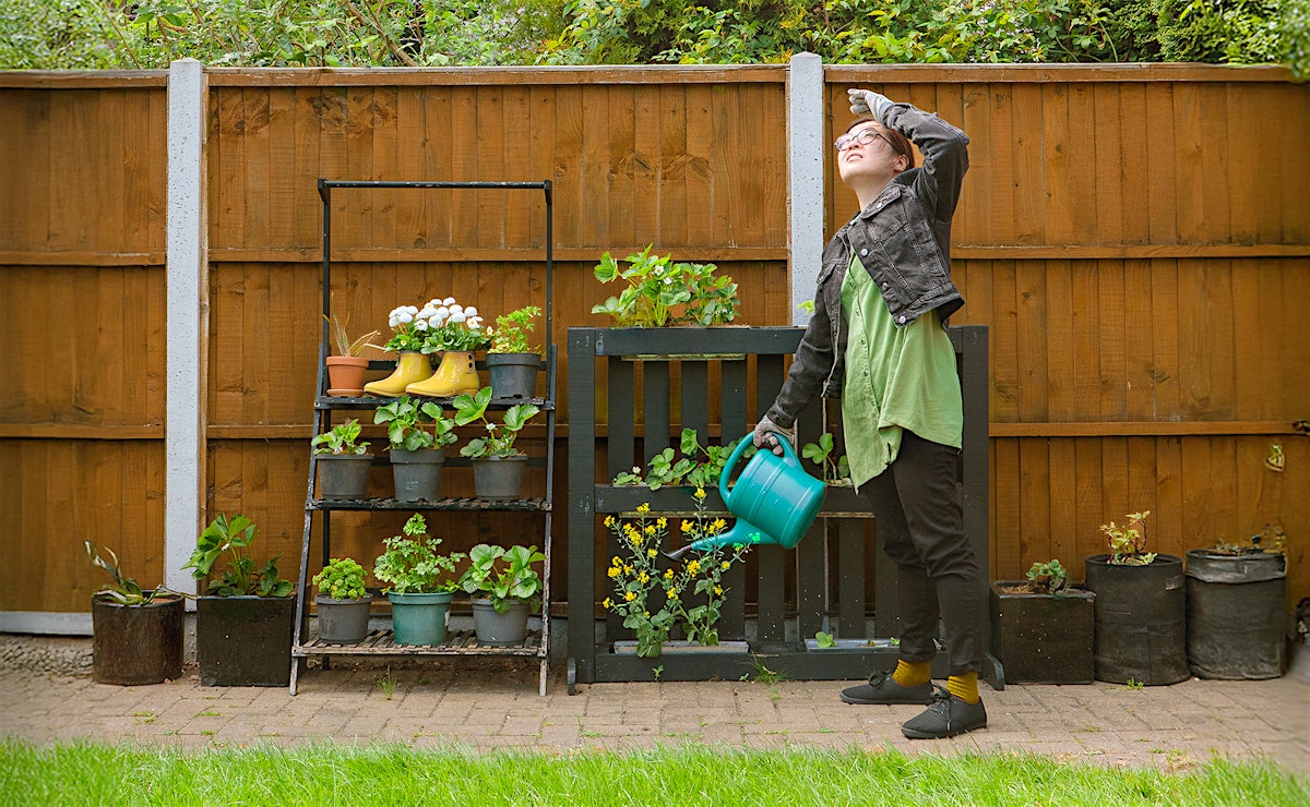 A gardener looking confused up at the sky whilst watering plants