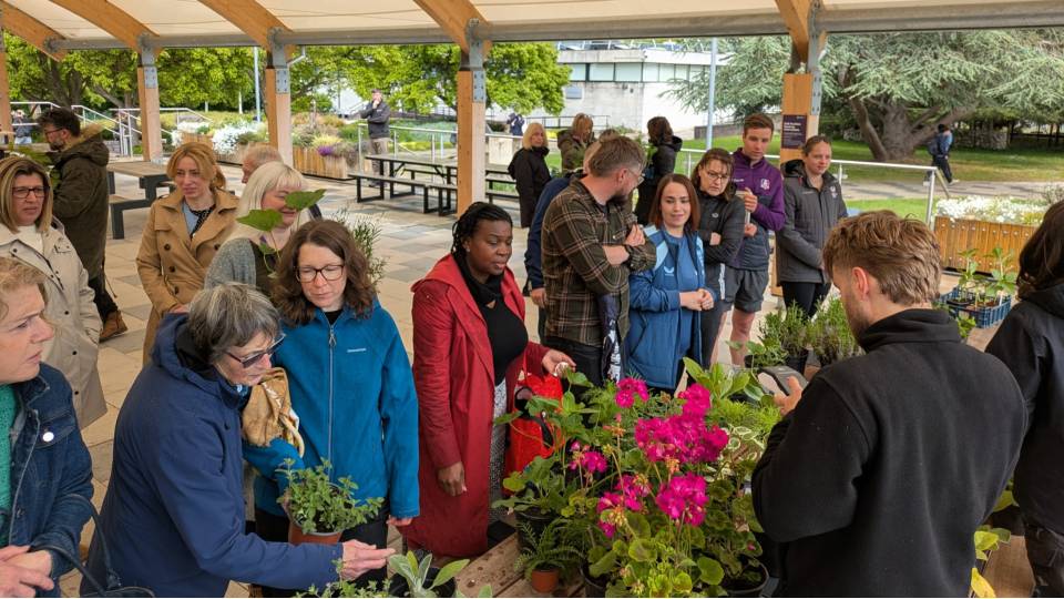 A group of people standing around a table of plants under an outdoor pavilion.