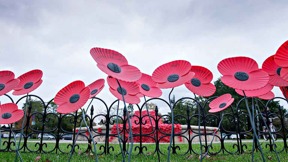 Photo of the poppies by the Fountain 