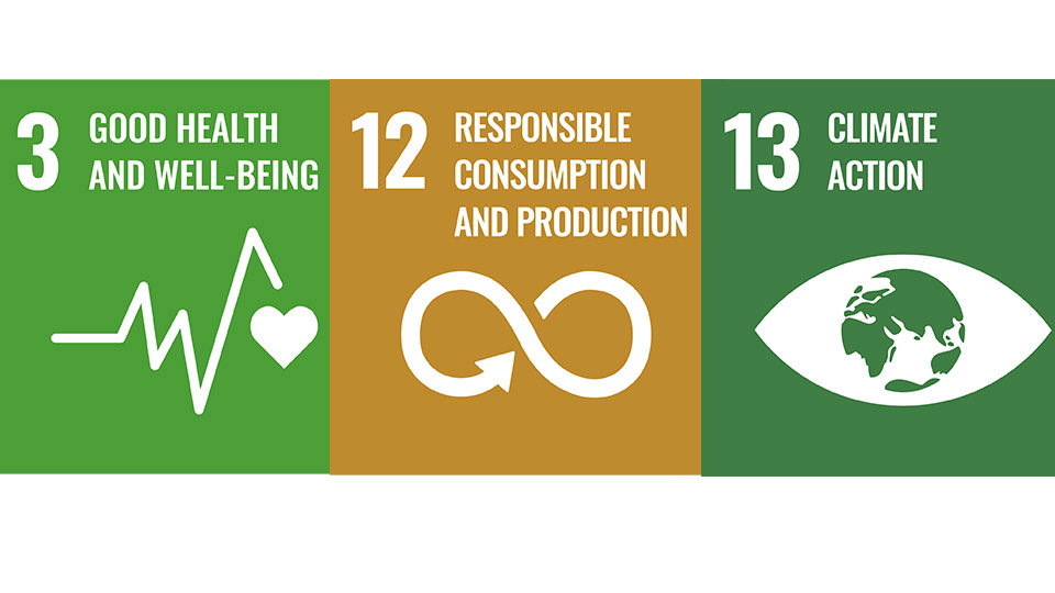 Sustainable Development Goals - 3,12,13 