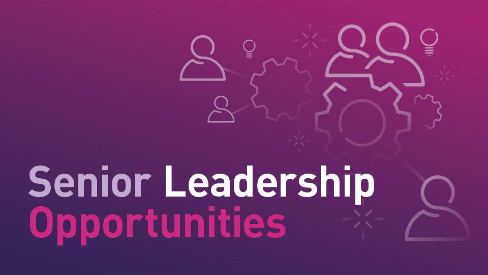 Pink and purple graphic banner with the words 'Senior Leadership Opportunities' 