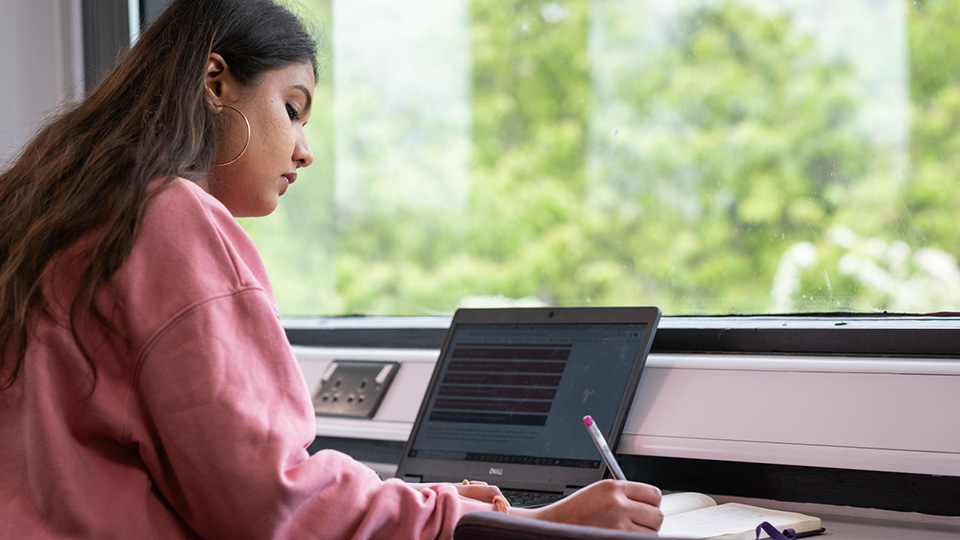 Photo of a postgraduate student working in front of a laptop close to a window in the Library