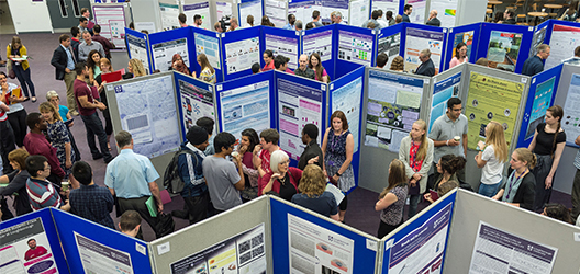 photo of a previous years' Summer Showcase research exhibition 