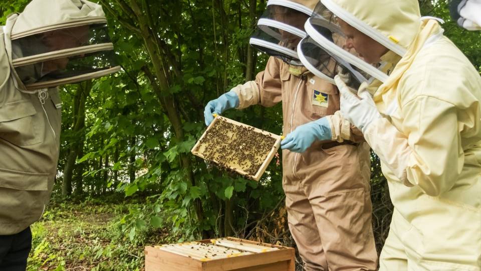 Two University beekeepers and a member of the community inspecting a beehive on campus.