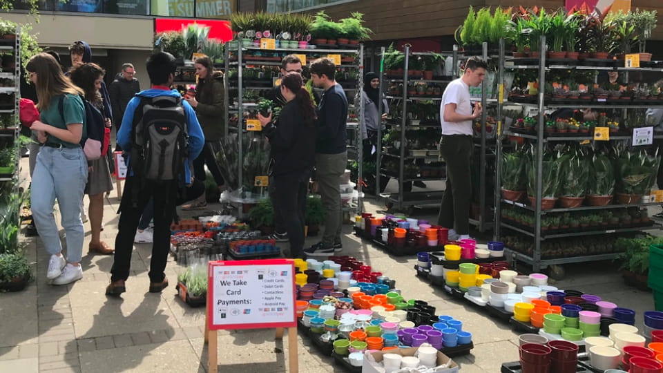 People browsing at the plant sale